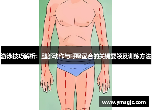 游泳技巧解析：腿部动作与呼吸配合的关键要领及训练方法